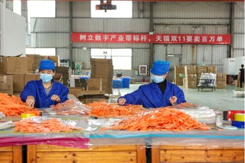 天貓雙11開門紅 產業帶廠貨成交額同比激增1700%，餐飲服務迎來消費新熱潮